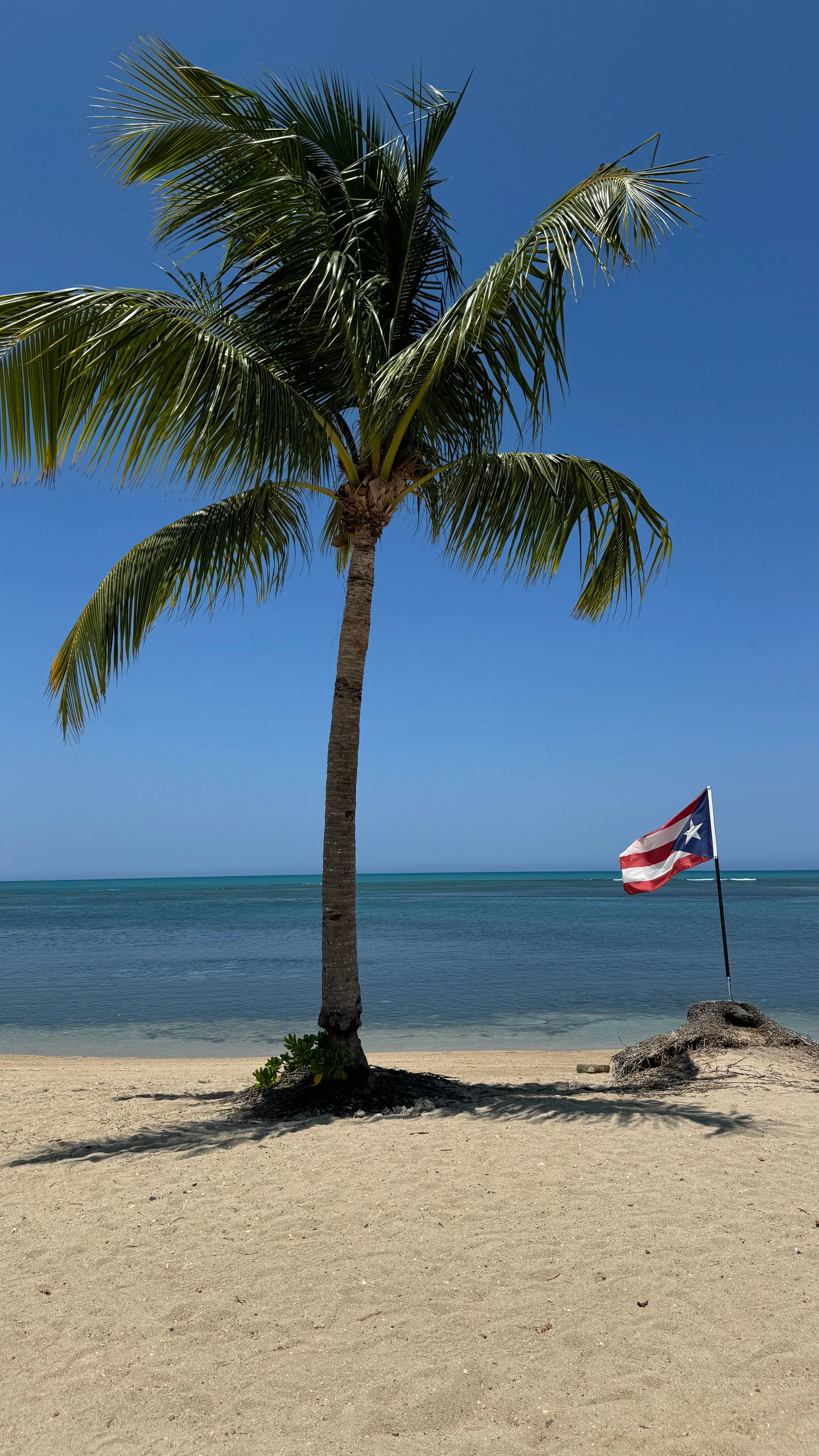 Bandera de Puerto Rico